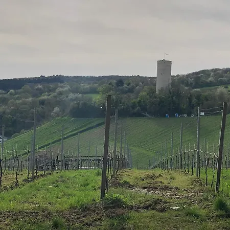 Ferienhaus Im Weindorf